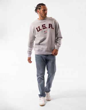 Men Russell Athletic Lewis Crew Neck Sweaters Grey | SJNFOB826