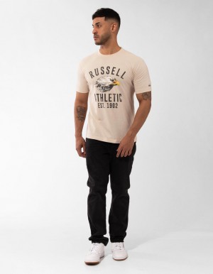 Men Russell Athletic Screaming Eagle T Shirts Grey | NIXQEY728