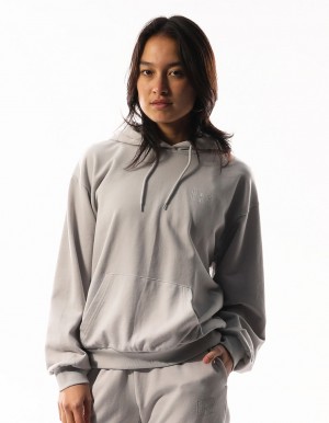 Women Russell Athletic Inlay Logo Unbrushed Hoodie Light Grey | EALRGD276