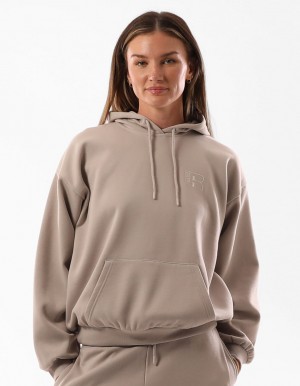 Women Russell Athletic Original Inlay Logo Hoodie Brown | XBRHWT210