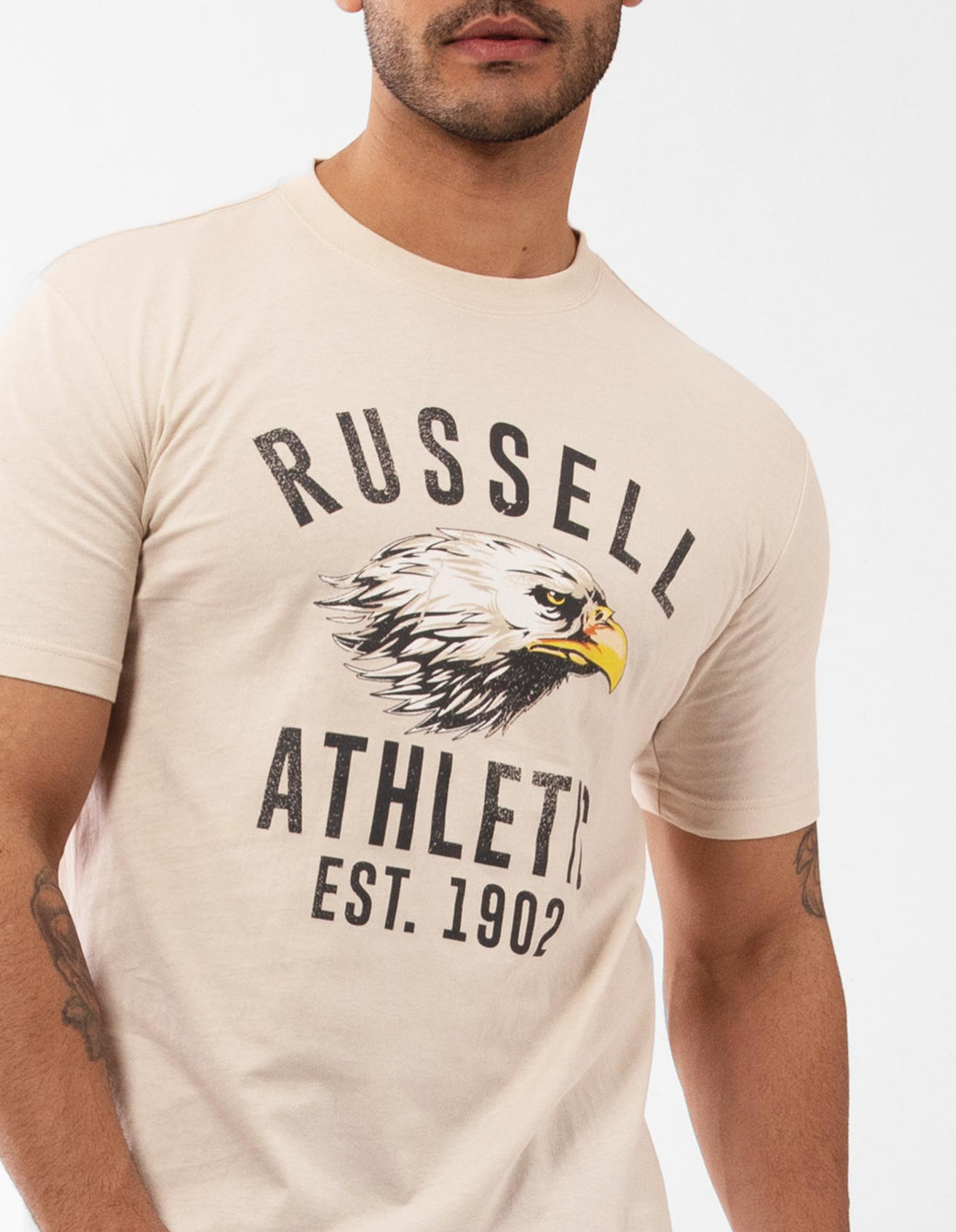 Men Russell Athletic Screaming Eagle T Shirts Grey | NIXQEY728